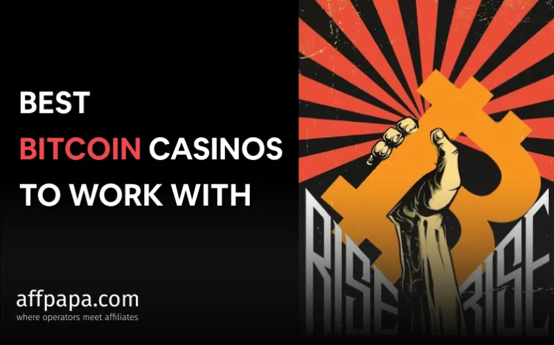 14 Best Bitcoin Casinos of 2024